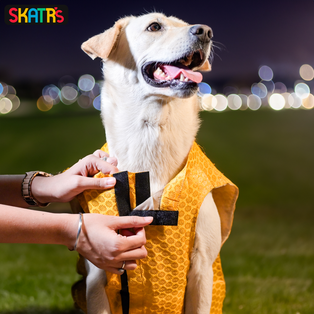 Skatrs Brocade Gold Printed Sherwani for Dogs and Cats (Yellow) image 8