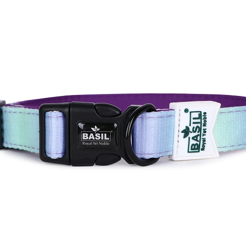 Basil Adjustable Padded Collar for Dogs (Purple/Blue) image 3