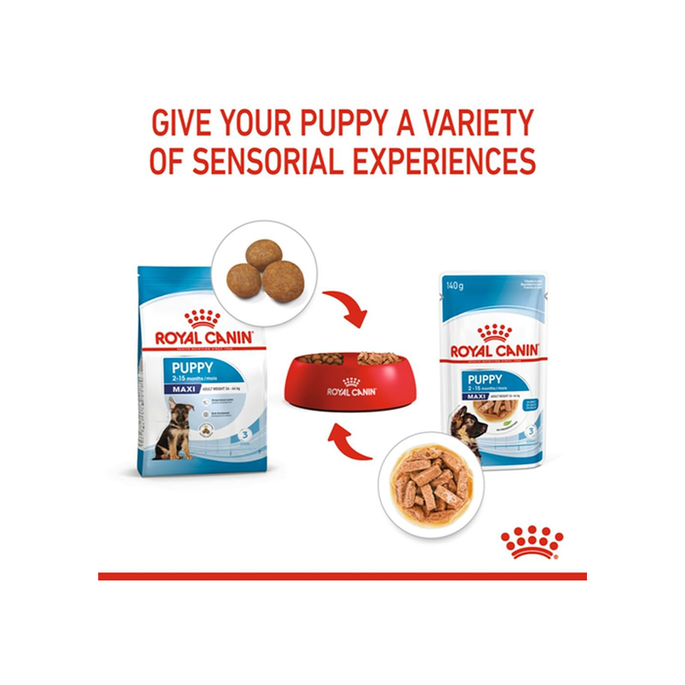 Royal Canin Maxi Puppy Dog Wet Food image 6