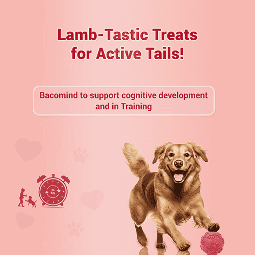 Natural Remedies Treat O'Clock Mutton Treats for Dogs image 2