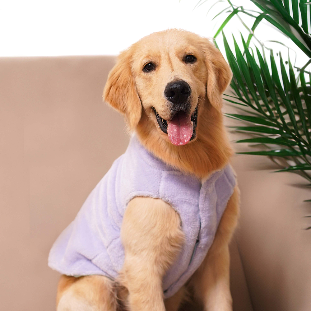 Pets Way Cozyquilt Winter Jacket for Dogs (Sky) image 2