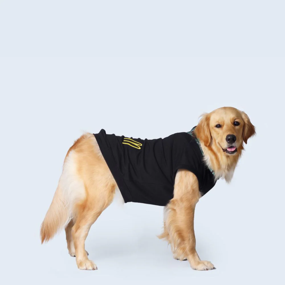 Pet Set Go Polo Knit Tshirt for Dogs (Black) image 3