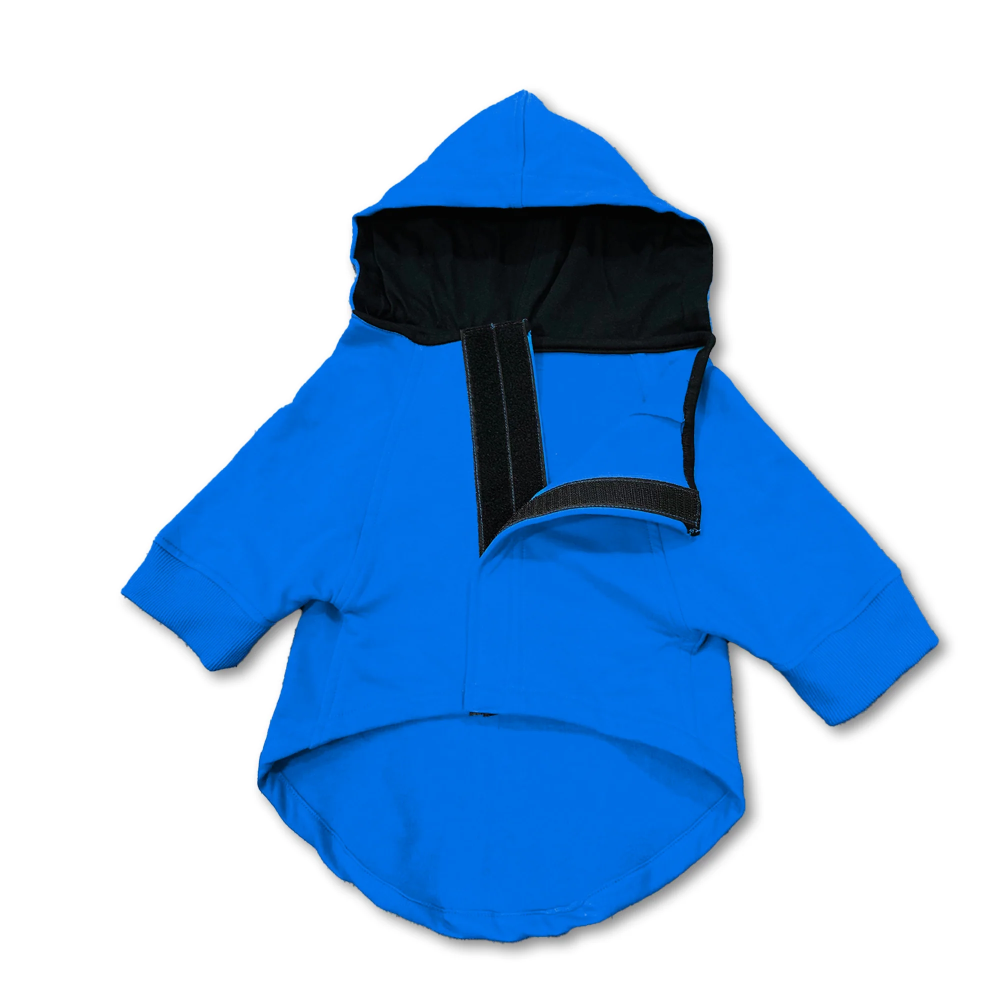Pawsindia Single Taken Hungry Hoodie for Dogs (Blue) image 4