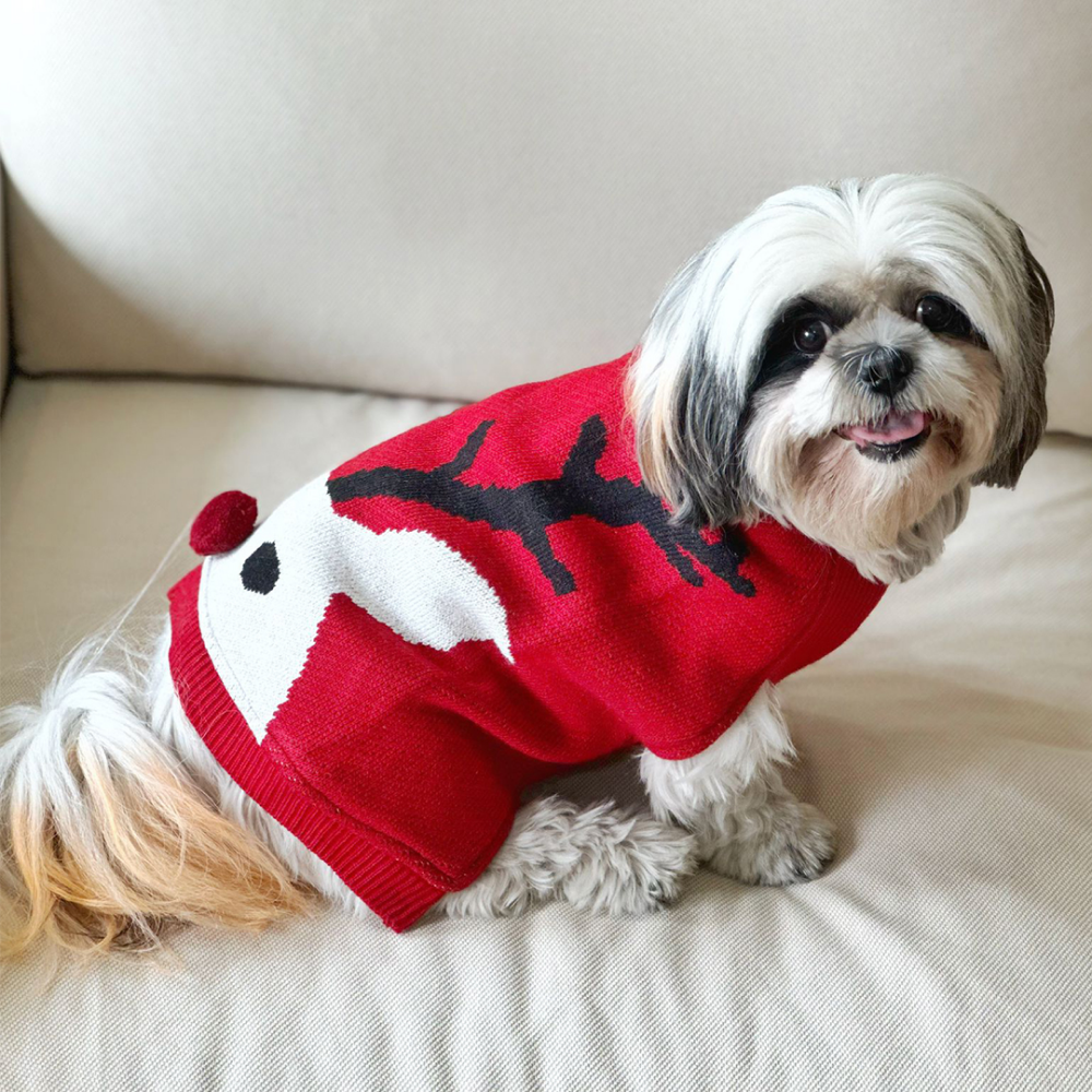 Dogobow Reindeer Knit Sweater for Dogs and Cats (Red) (Get a Bow Free) image 2