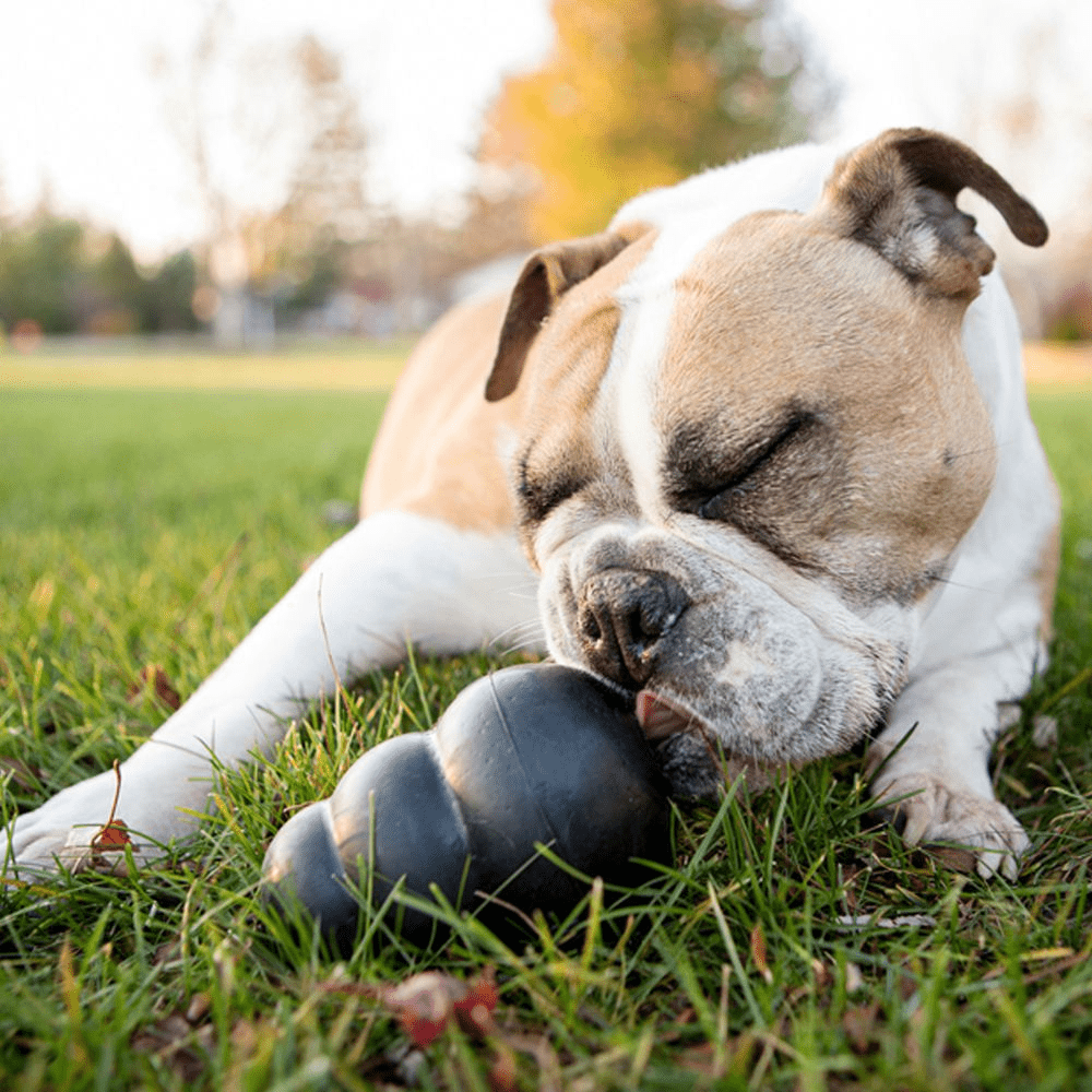 Kong Extreme Toy for Dogs (Black) | For Aggressive Chewers image 4