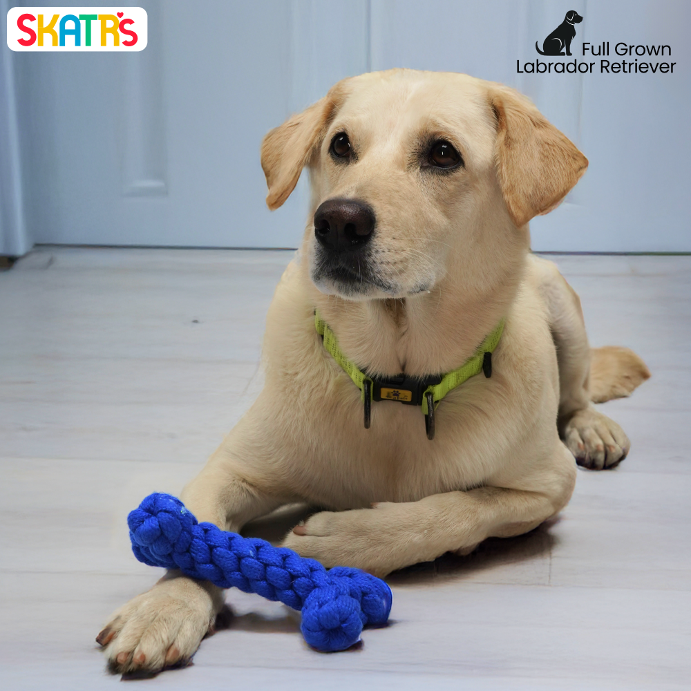 Skatrs Bone Shaped Rope Chew Toy for Dogs and Cats (Royal Blue) image 5