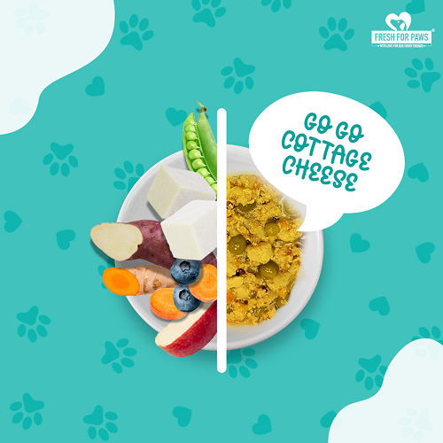 Fresh For Paws A Green Affair Grain Free & Vegan and Go Go Cottage Cheese and Oh My Greens Dog Wet Food Combo image 9