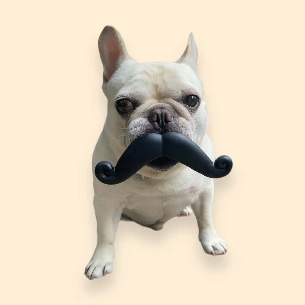Talking Dog Club Moustache Squeaky Toy for Dogs (Black) image 3