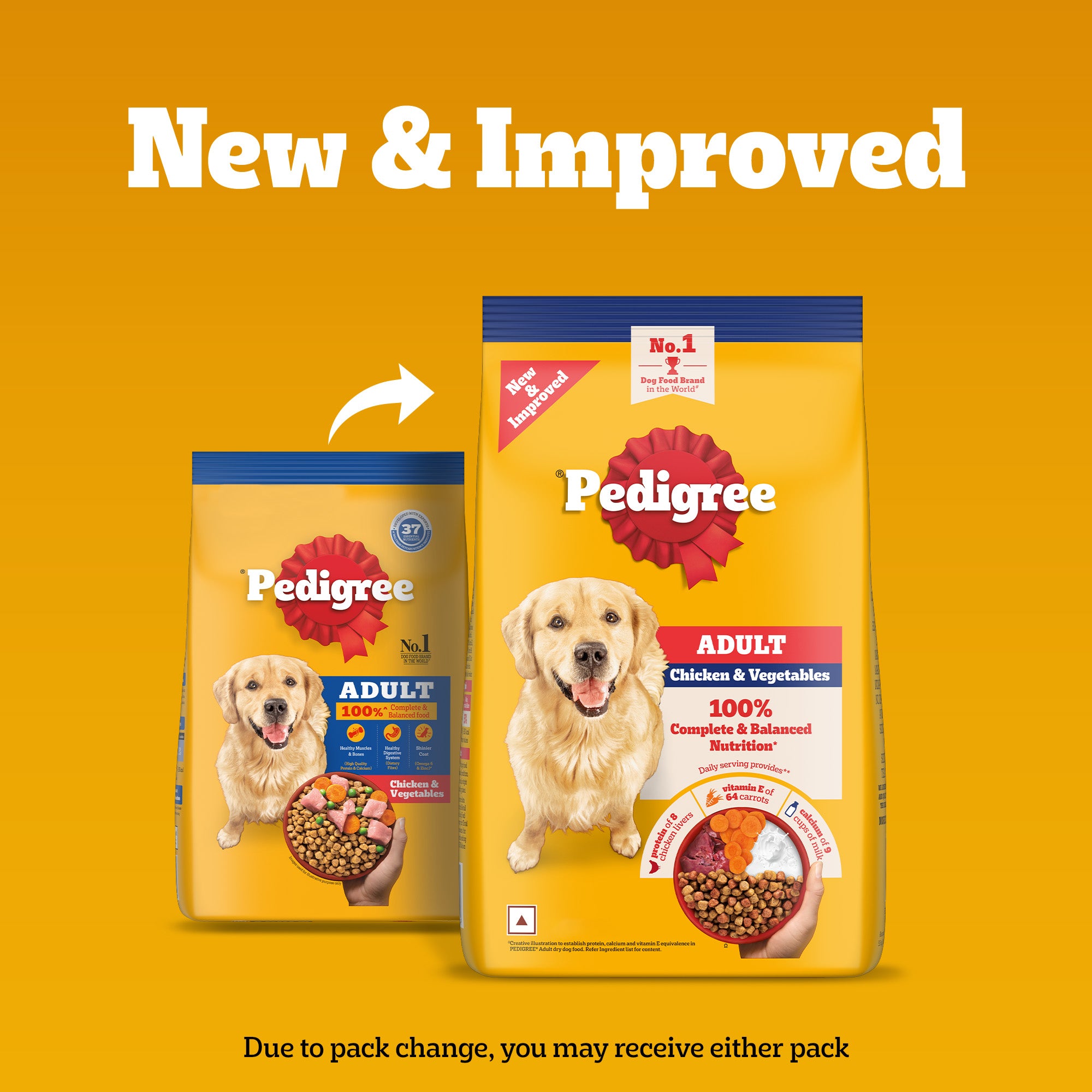 Pedigree Chicken and Vegetables Adult Dry Dog Food image 2