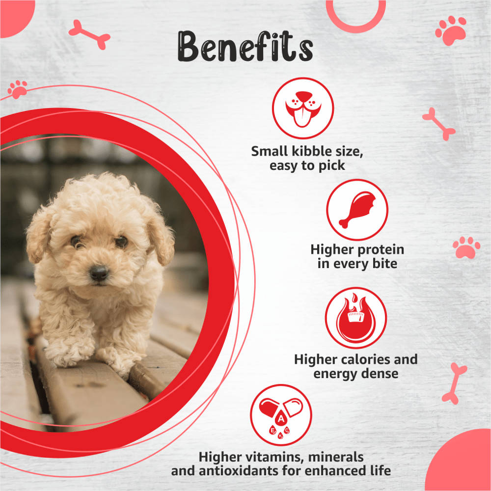 Drools Premium Small Breed Puppy Dog Dry Food image 3