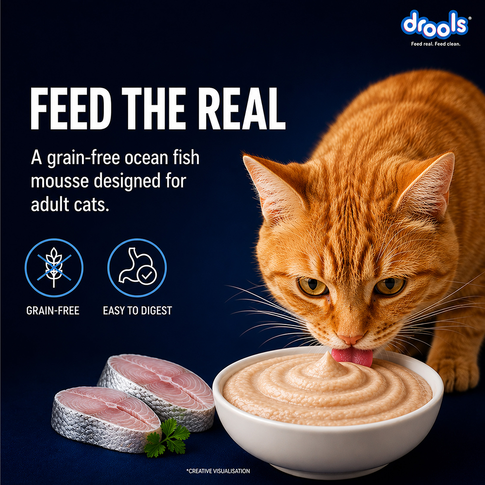 Drools Ocean Fish Mousse Adult Cat Wet Food image 7