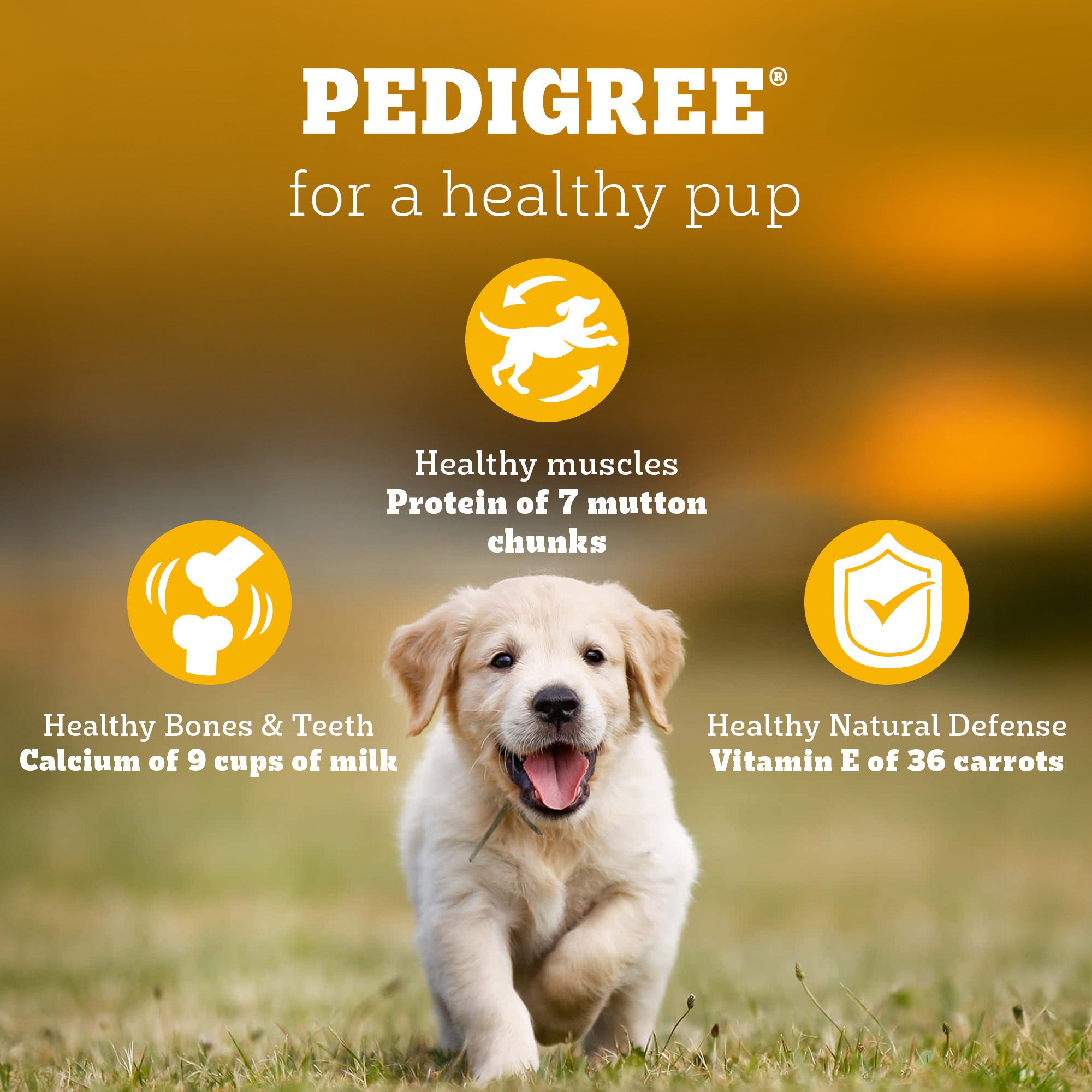 Pedigree Puppy Dog Food Combo |Meat & Milk Dry & Chicken & Liver Wet image 10
