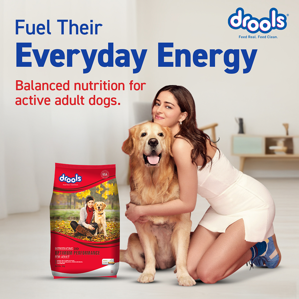 Drools Optimum Performance Adult Dog Dry Food image 5