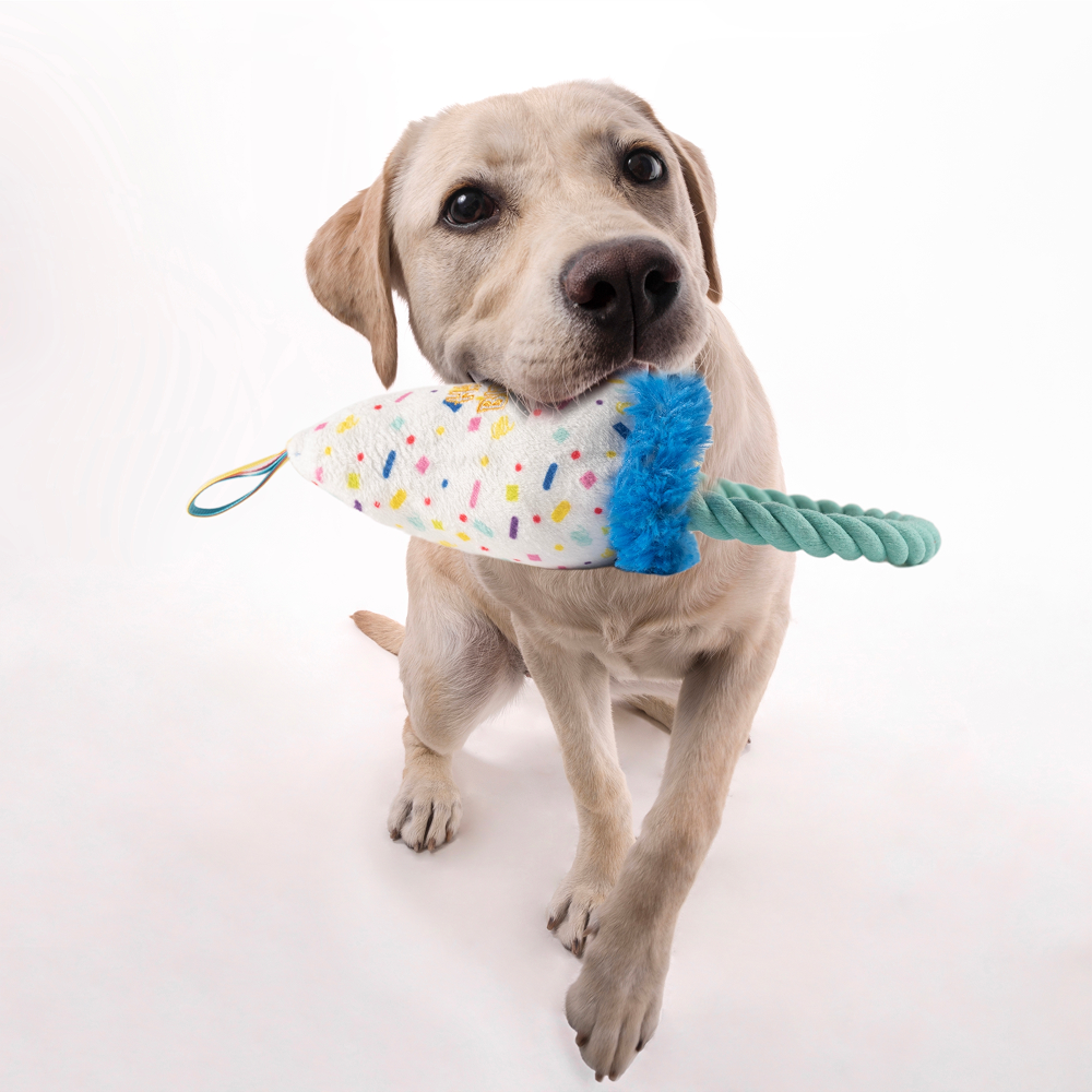 Barkbutler x Fofos Birthday Hat Plush Toy for Dogs image 8