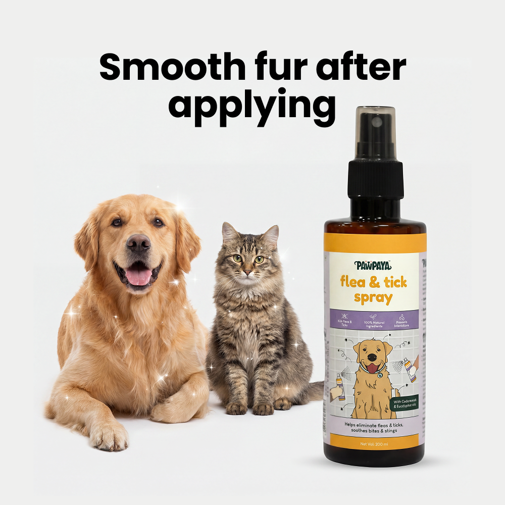 Pawpaya  Flea and Tick Spray for Dogs and Cats image 6