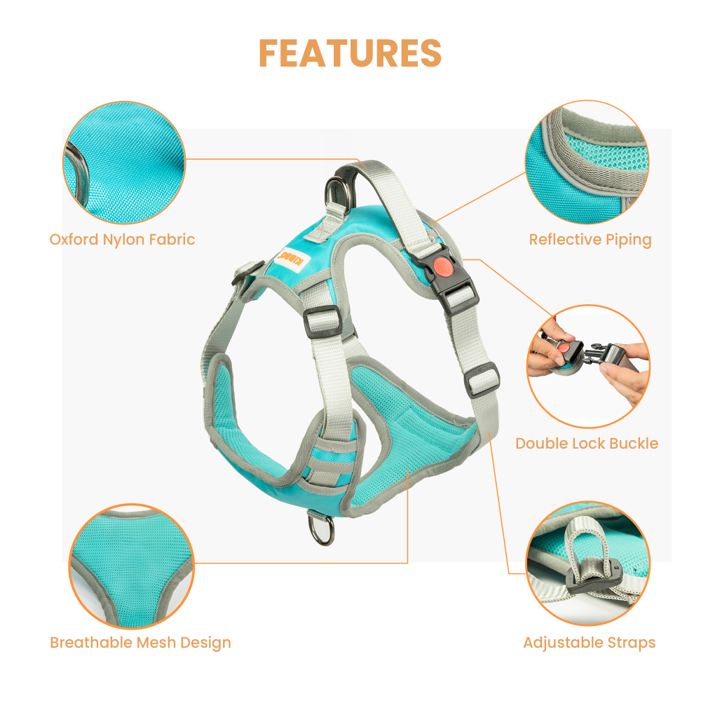 Kibbo Reflective Vest Harness with Dual Lock Buckle for Dogs (Sea Green) image 4