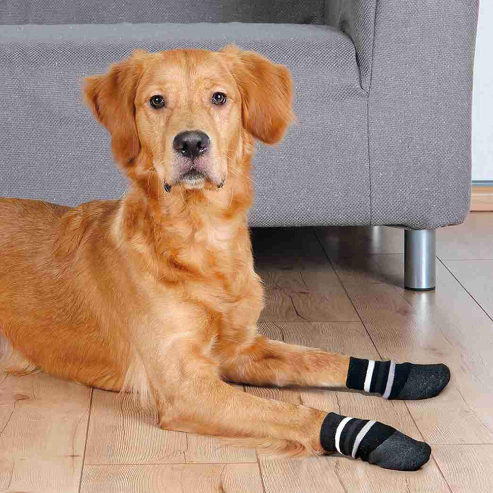 Trixie Non Slip with All Round Rubber Coated Socks for Dogs (Black) image 4