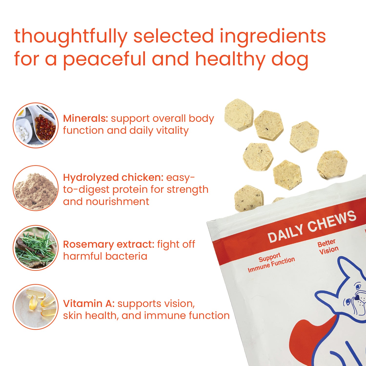 Nootie+ Multivitamin Daily Chews Supplement for Dogs image 2