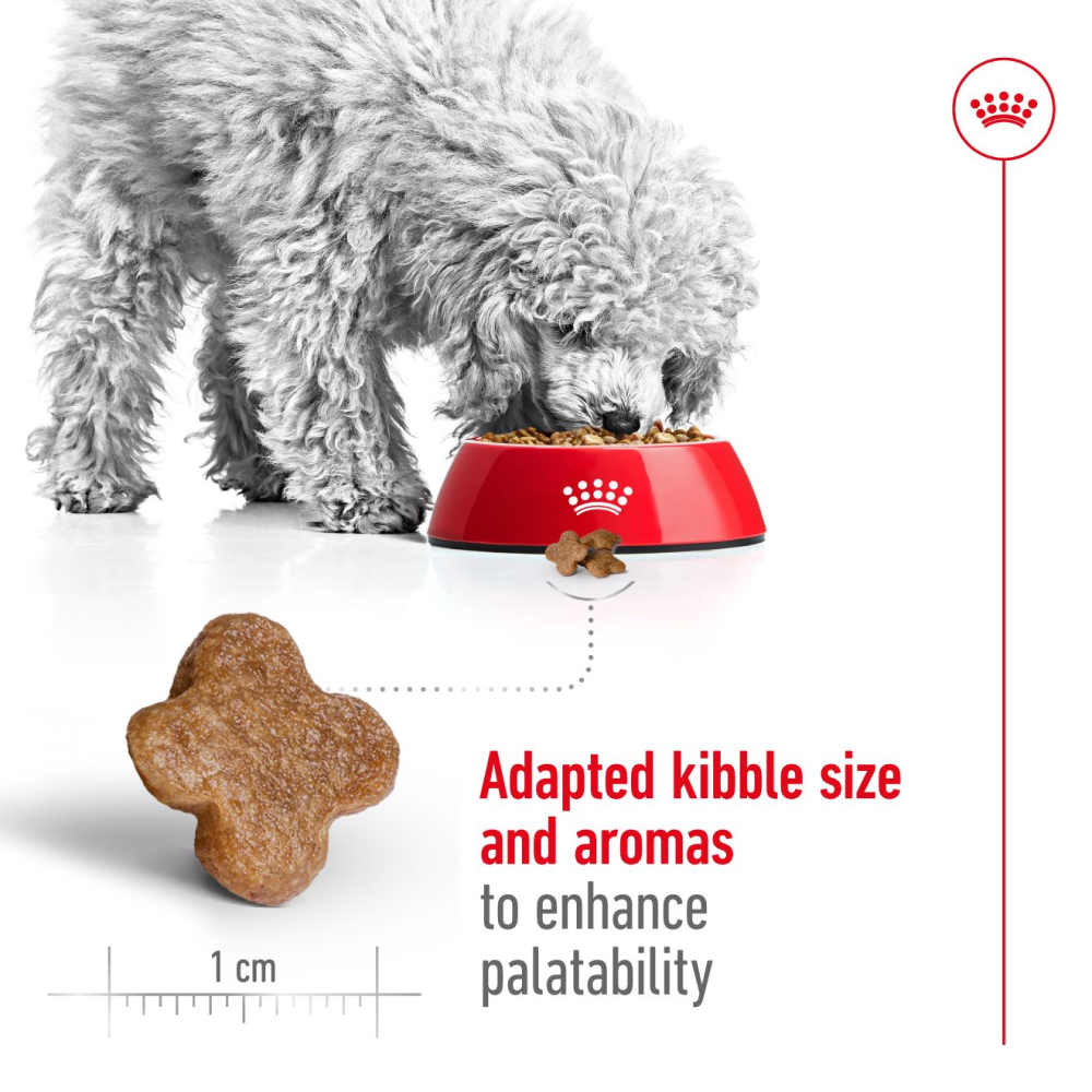 Royal Canin Mini Adult Dog Dry Food image 3