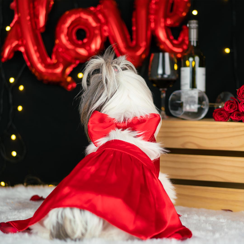 Dogobow Little Dress for Cats and Dogs (Red) image 1