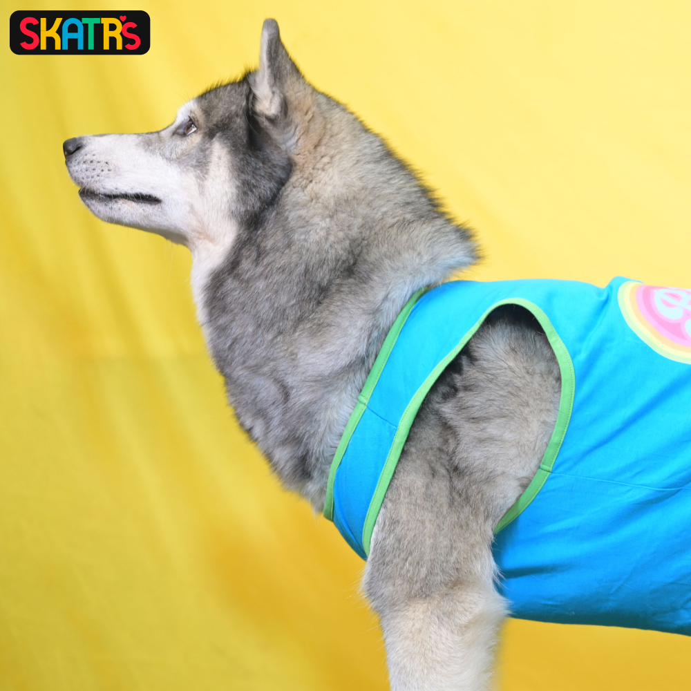 Skatrs Bitches Love Me Printed Summer Cotton T Shirt for Dogs and Cats (Blue) image 5