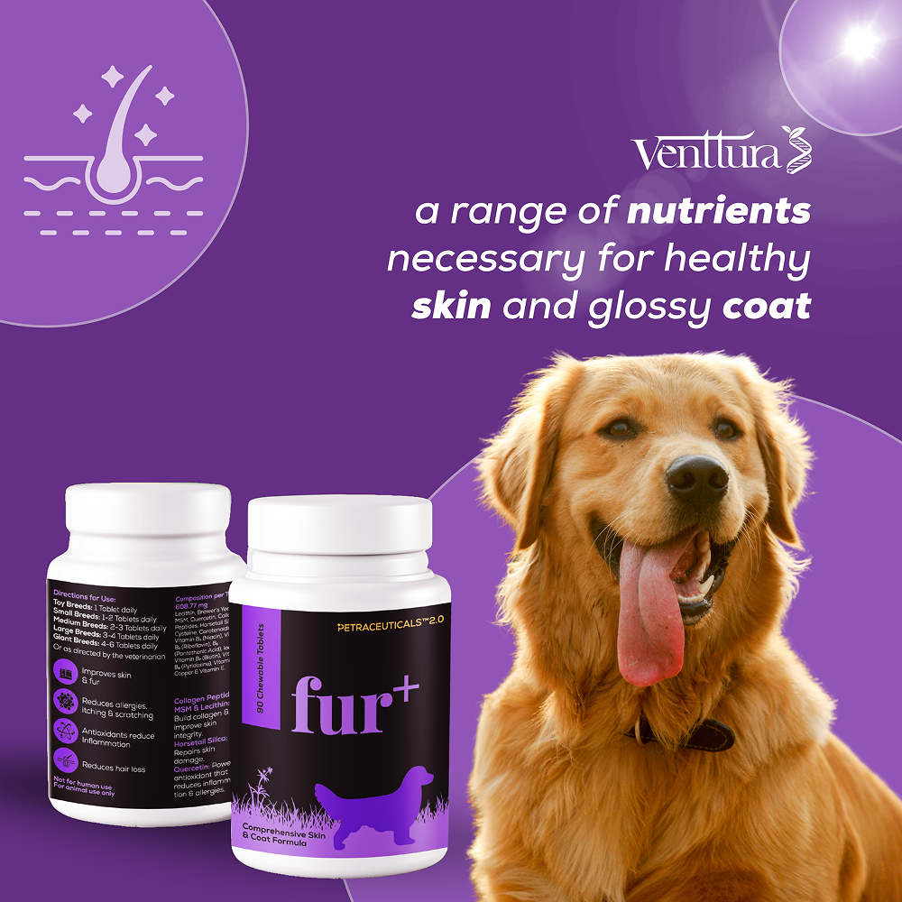 Venttura Fur Plus Chewable Skin & Coat Supplement Tablets for Dogs image 5