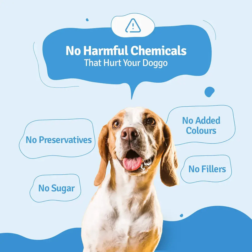 BLEP Fish Beans Pawer Dog Wet Food (300g) image 2