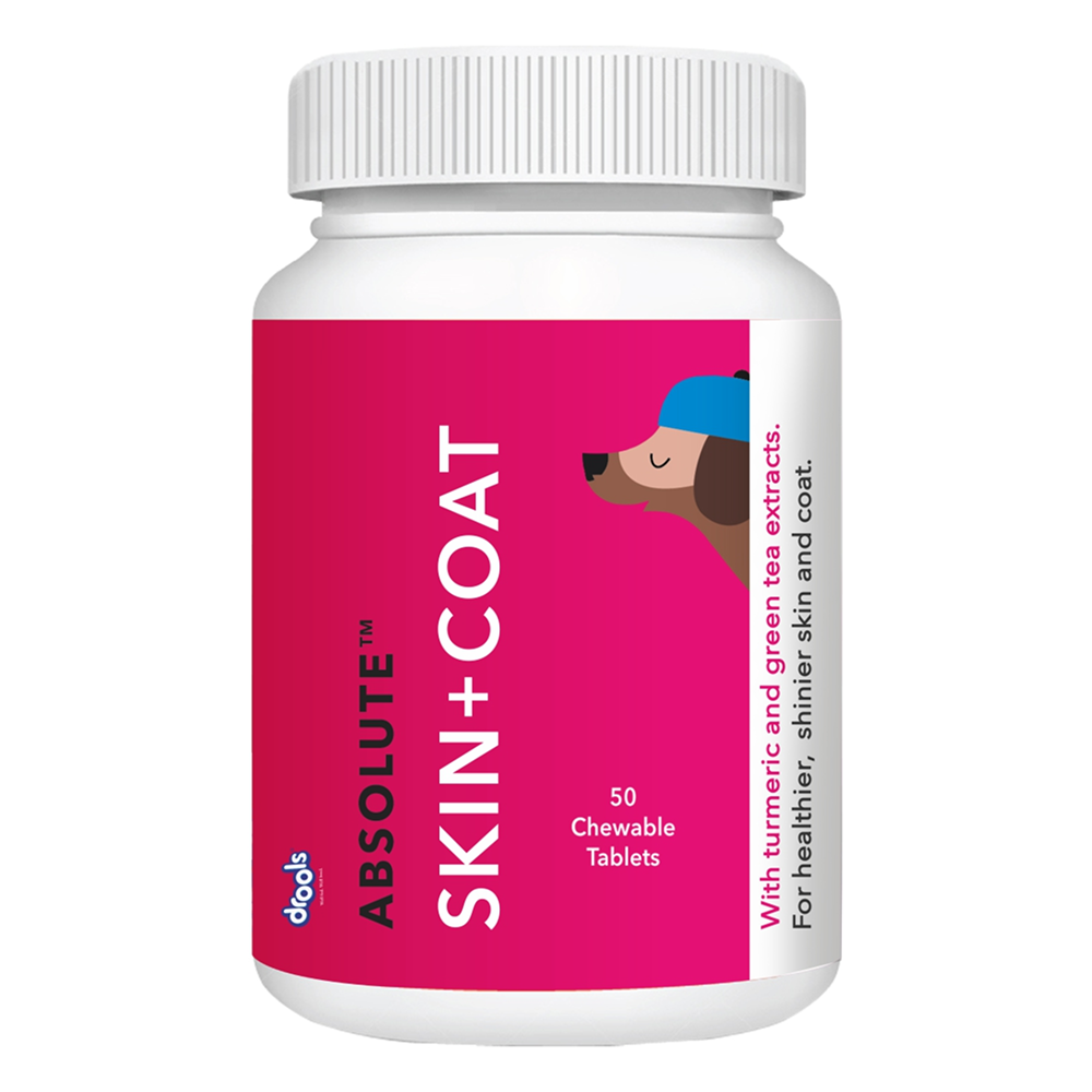 Drools Absolute Skin & Coat Supplement Tablets for Dogs image 10