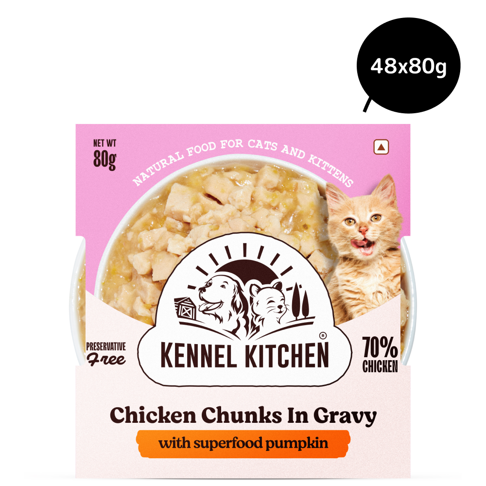 Kennel Kitchen Chicken Chunks in Gravy with Superfood Pumpkin Kitten & Adult Cat Wet Food image 4