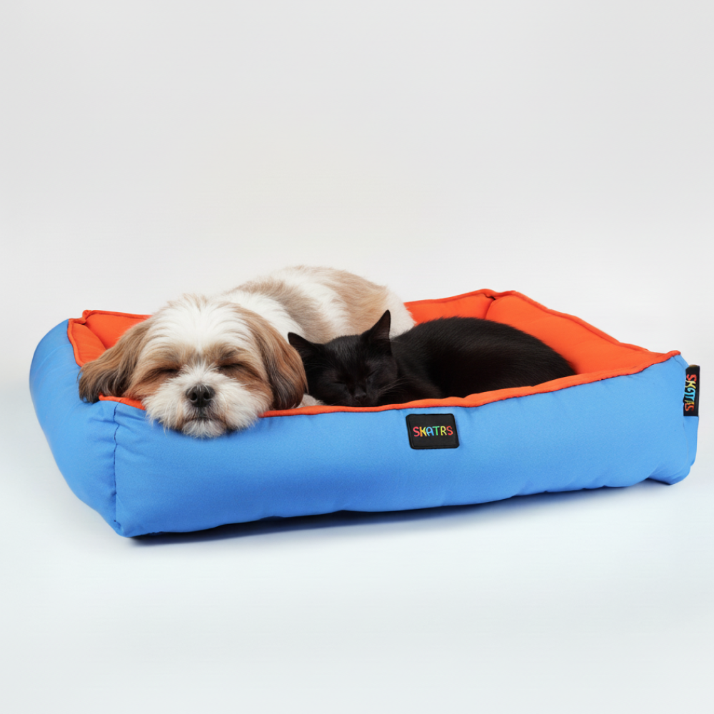 Skatrs Square Shaped Bed for Dogs & Cats (Orange & Blue) image 3