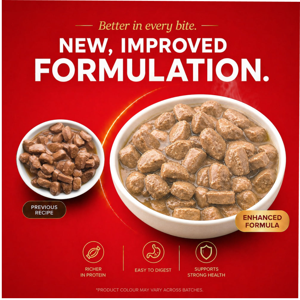 Drools Real Chicken & Chicken Liver Chunks in Gravy Puppy Dog Wet Food image 2