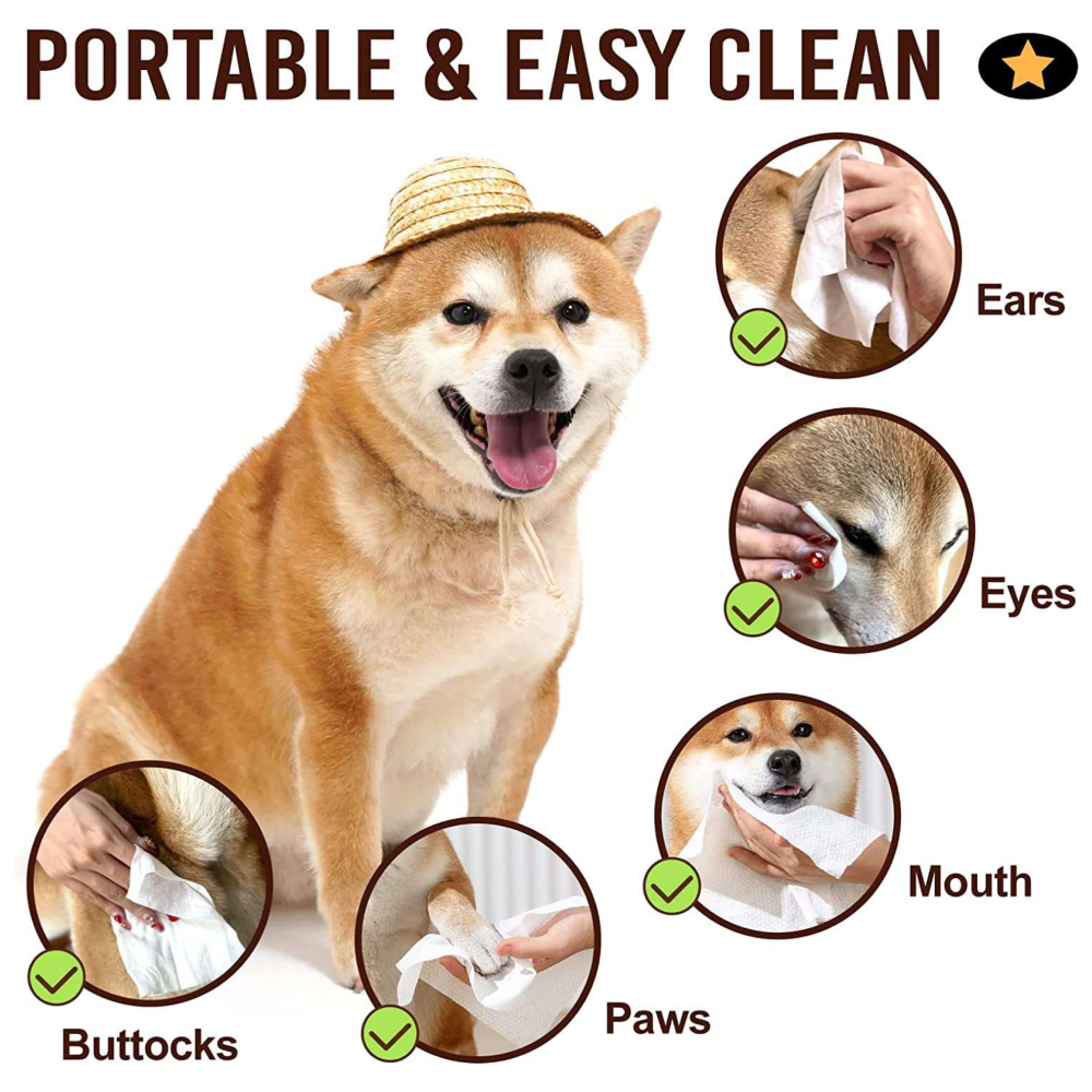 Talking Dog Club Autumn Leaves Wipes for Dogs and Cats image 2