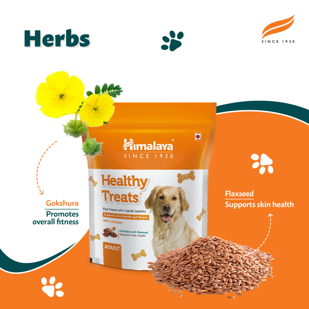 Himalaya Chicken Healthy Adult Dog Treats image 3