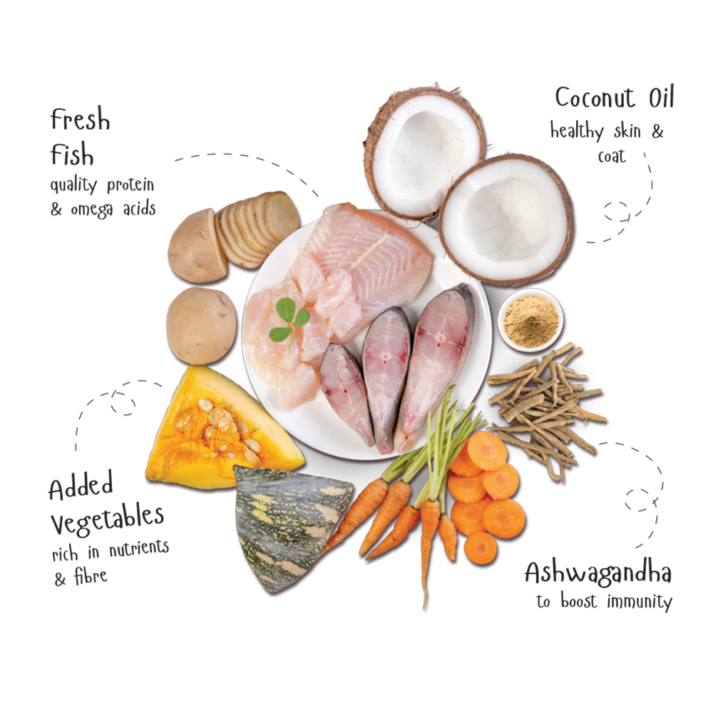 Fidele Plus Fresh Fish with Vegetables Dog Wet Food image 3