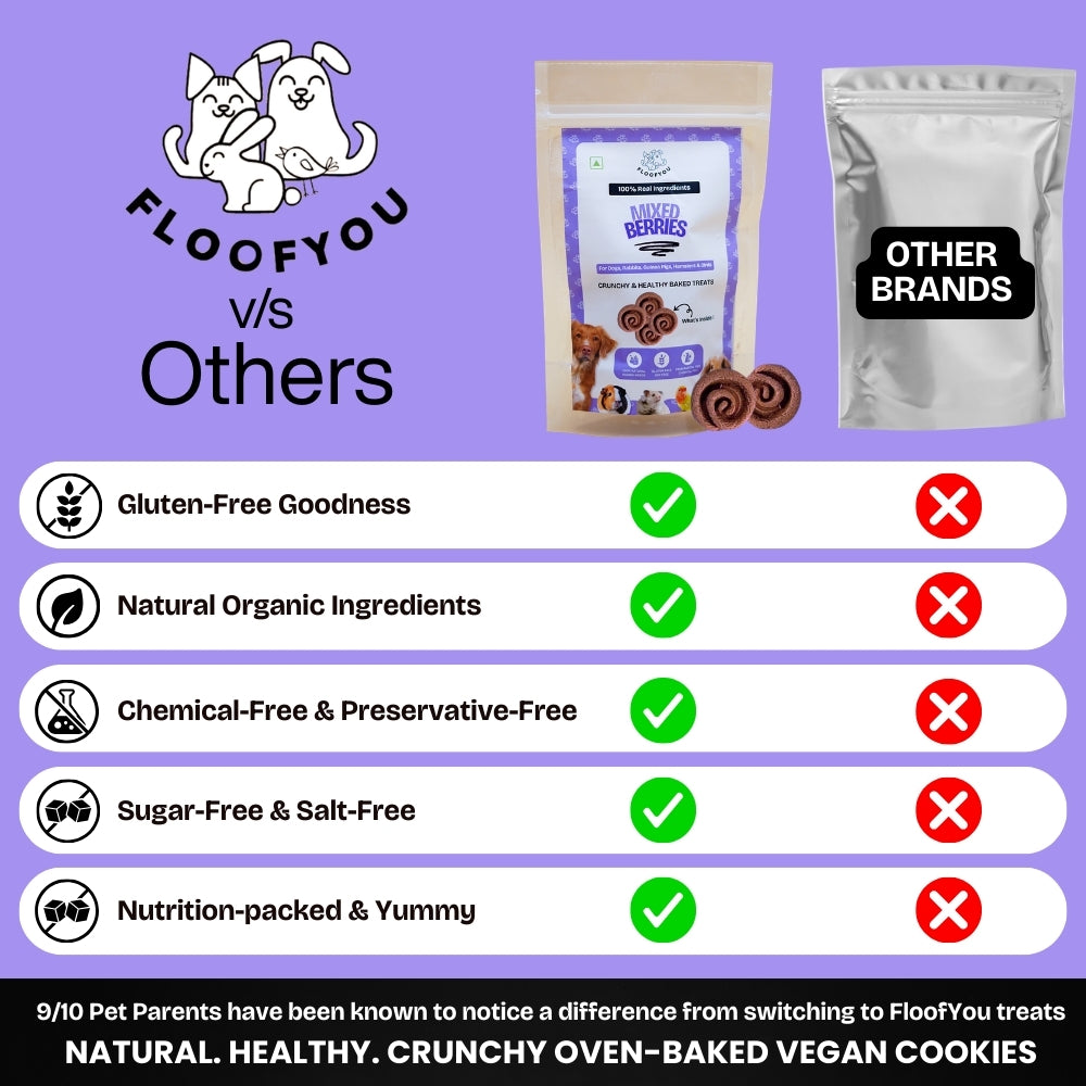 Floofyou Mixed Berries Vegan Oven Baked Cookie Dog Treats image 7