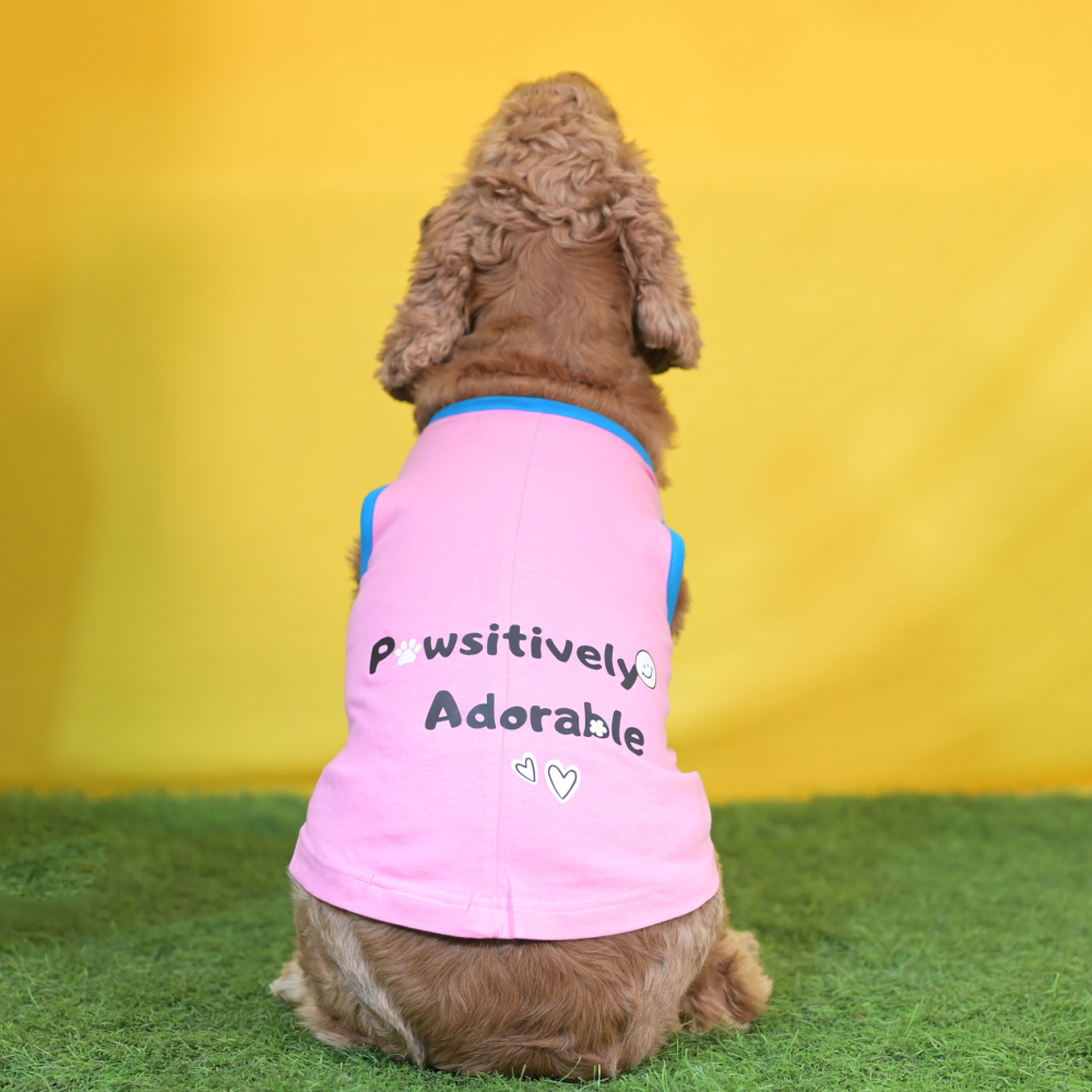 Skatrs Pawsitively Adorable Printed Summer Cotton T Shirt for Dogs and Cats (Pink) image 2