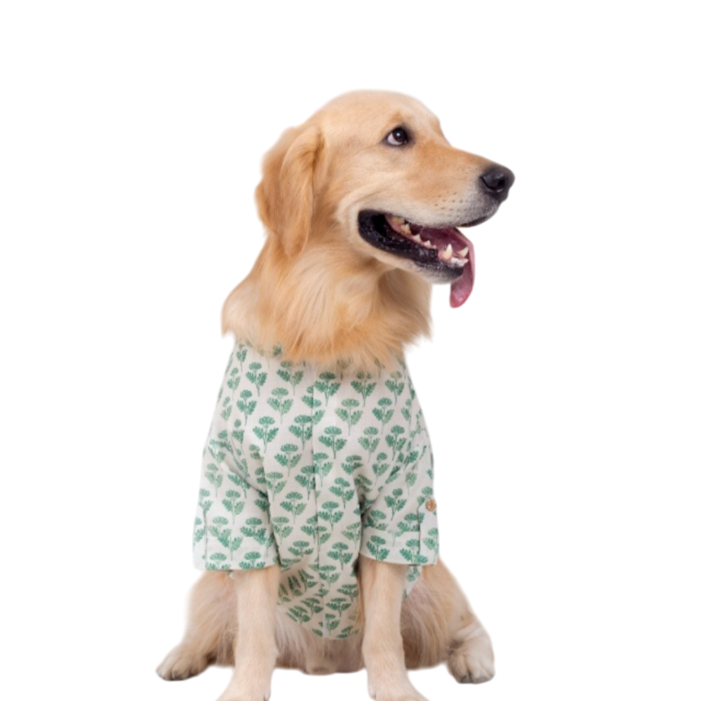 15 Furries Hariyali Kurta for Dogs image 7