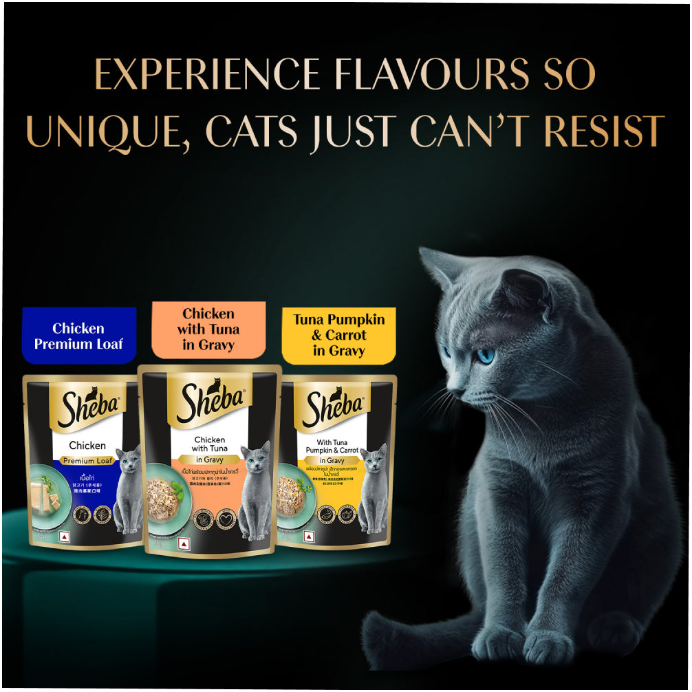Sheba Chicken Loaf Rich Premium Kitten (2 to 12 Months) Fine Cat Wet Food image 7