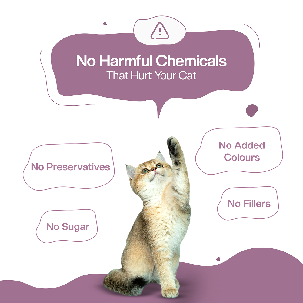 BLEP Tun Tuna Cat Wet Food image 7