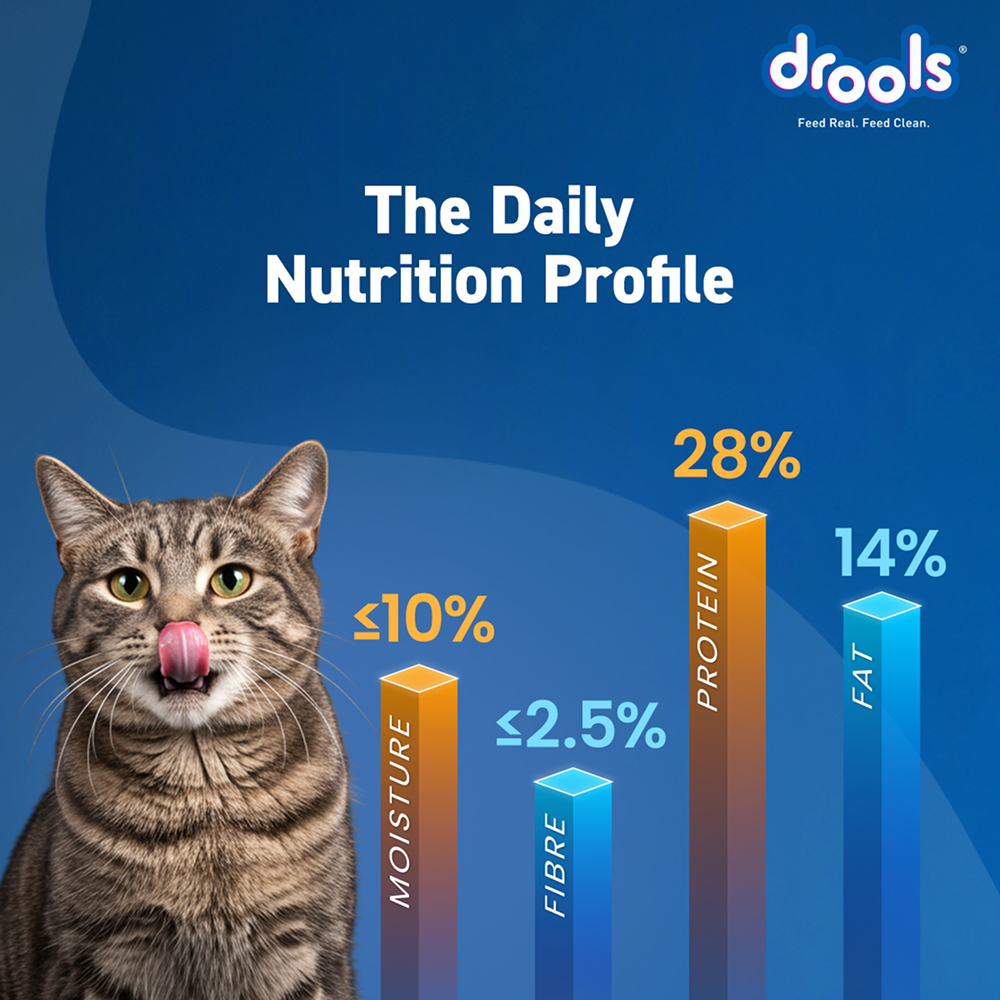 Drools Tuna & Salmon Adult Dry Cat Food image 4