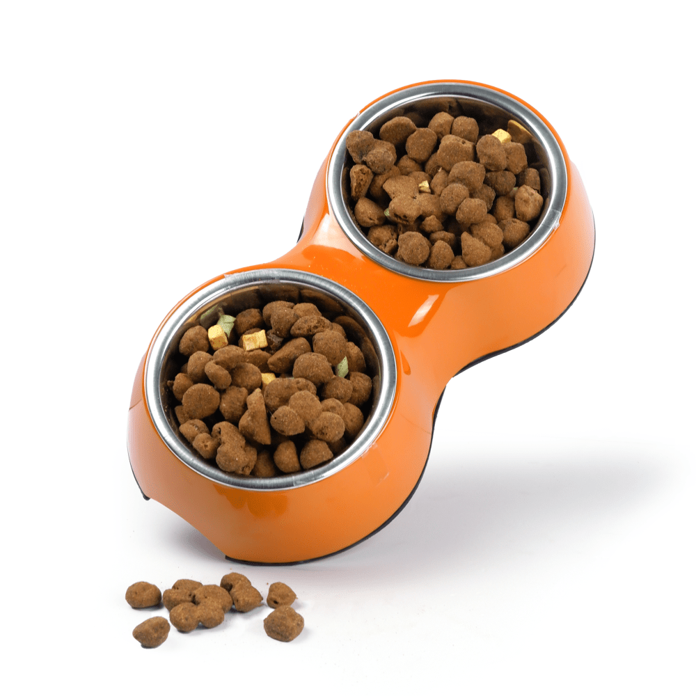 Basil Double Melamine Bowl Dinner Set for Dogs and Cats (Orange) image 6