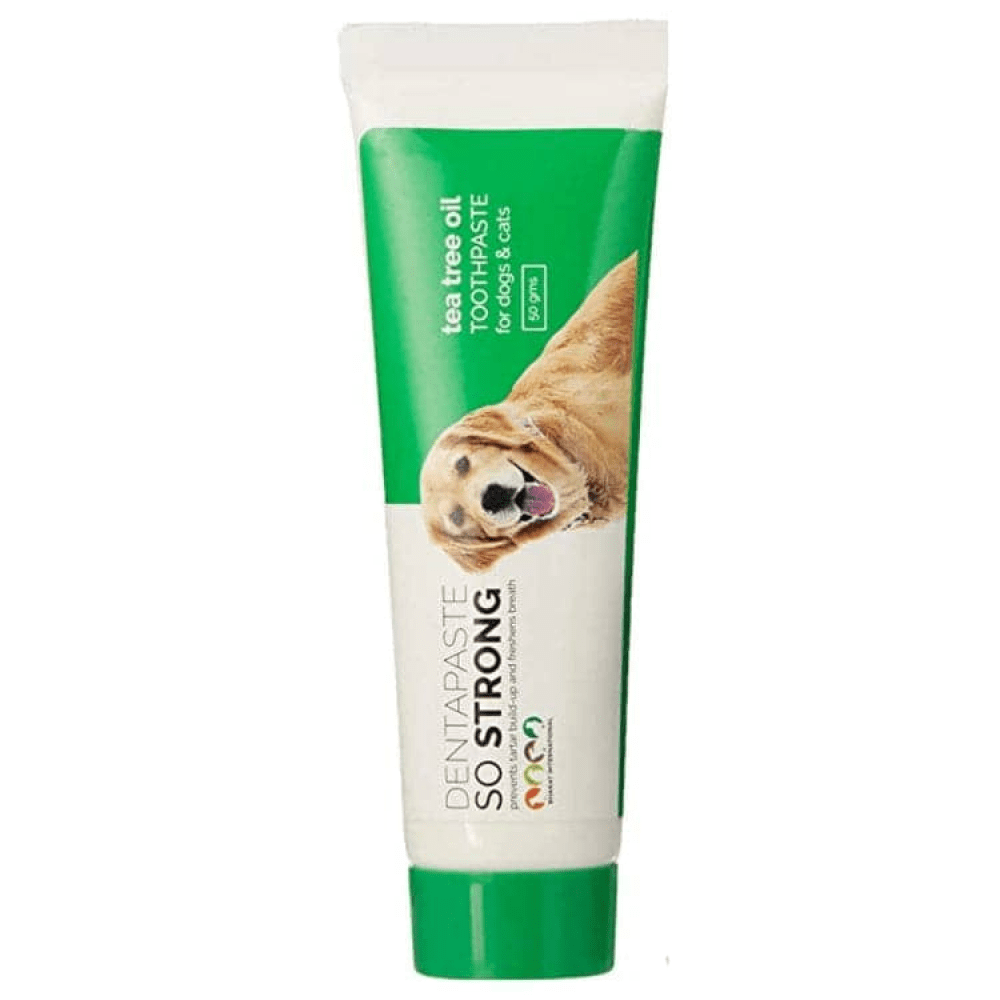 BI Grooming So Strong Dentapaste with Brush for Dogs and Cats image 2