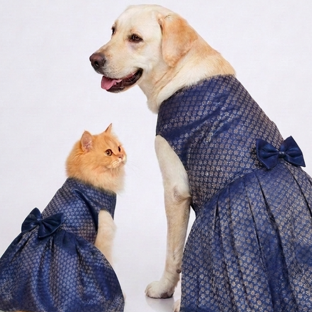 Skatrs Brocade Gold Printed Dress for Dogs and Cats (Blue)