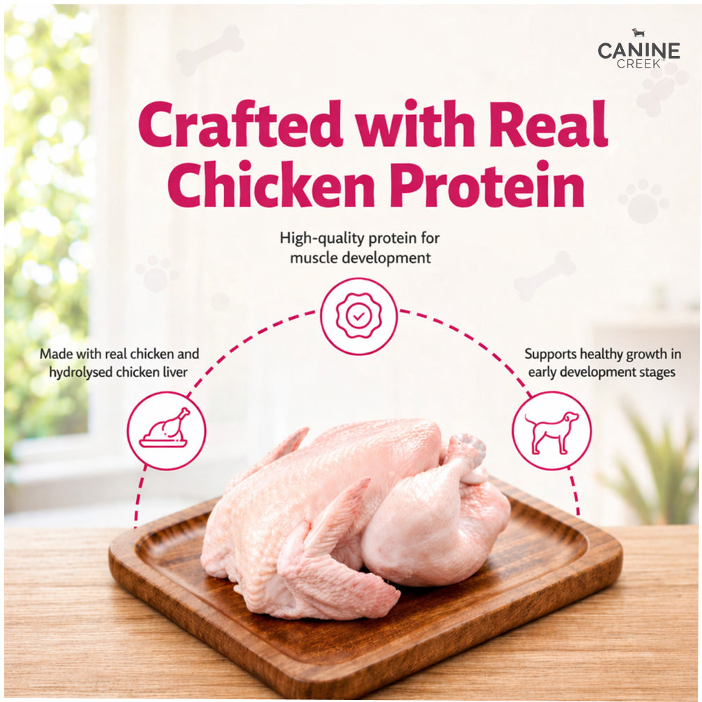 Canine Creek Real Chicken Gravy Puppy Wet Food image 3
