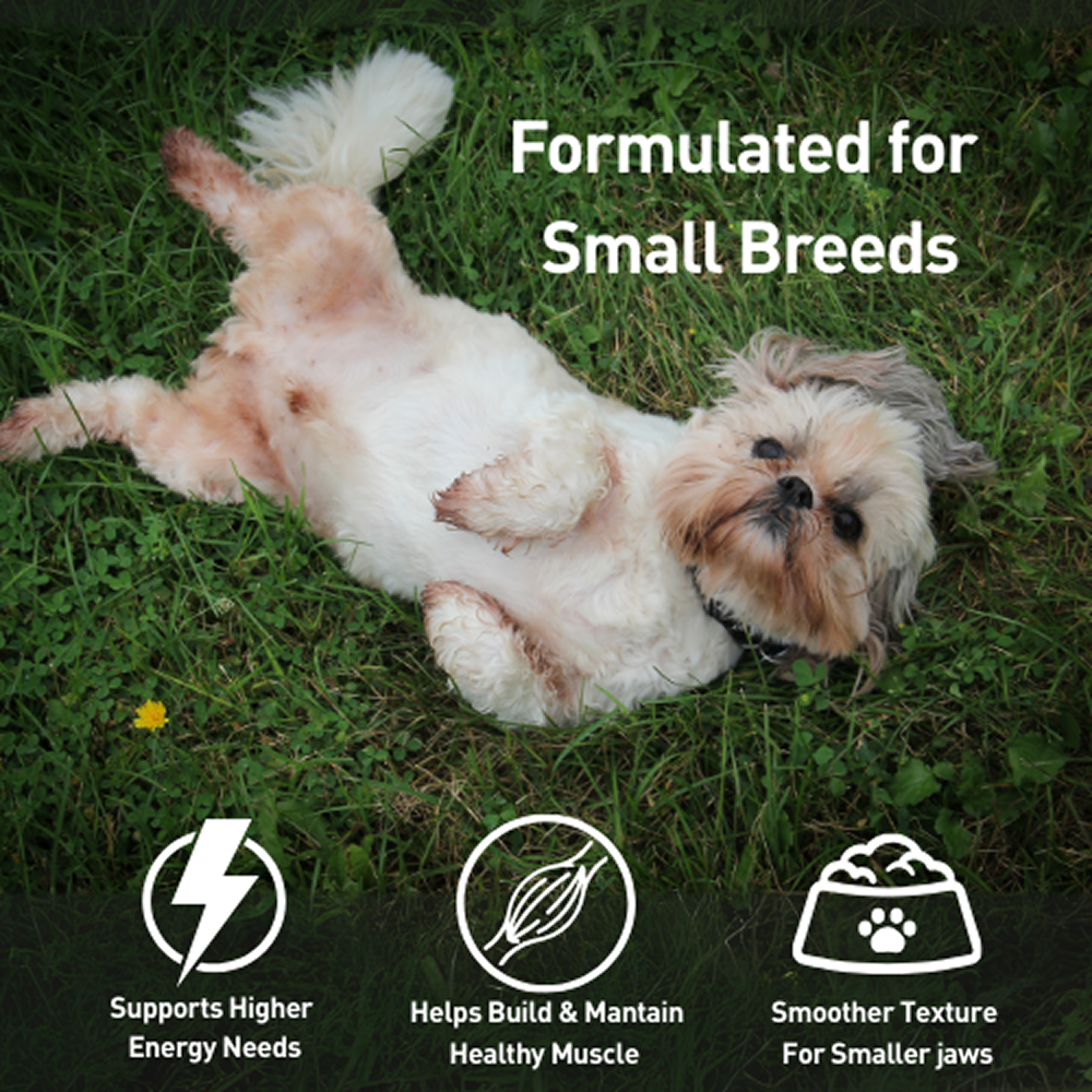 Homiee & Ginger Grain Free Mini Meals Chicken & Sweet Potato and Chicken & Quinoa Fresh Food for Dogs Combo image 5