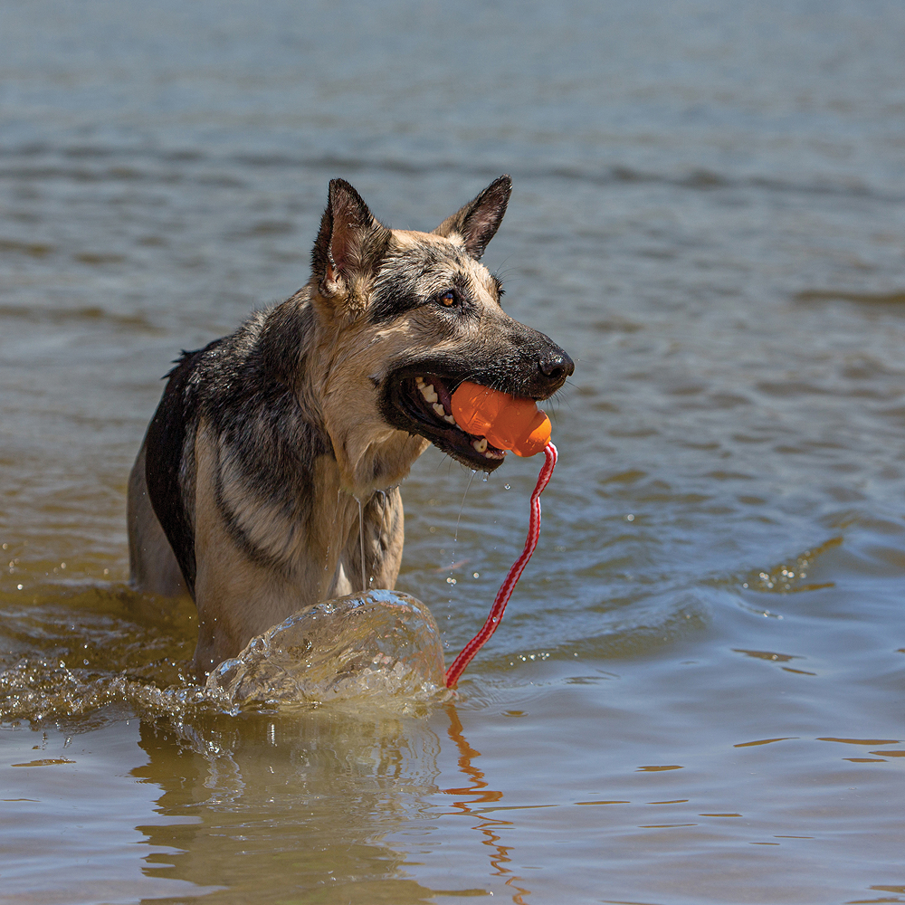 Kong Aqua Toy for Dogs (Orange) image 2
