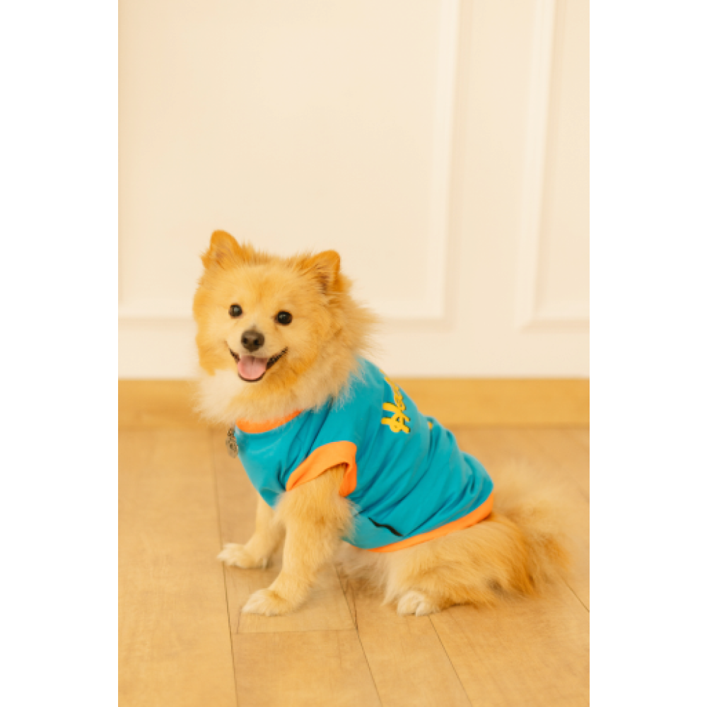 Pet Set Go Giraffe T-shirt for Dogs (Blue) image 5