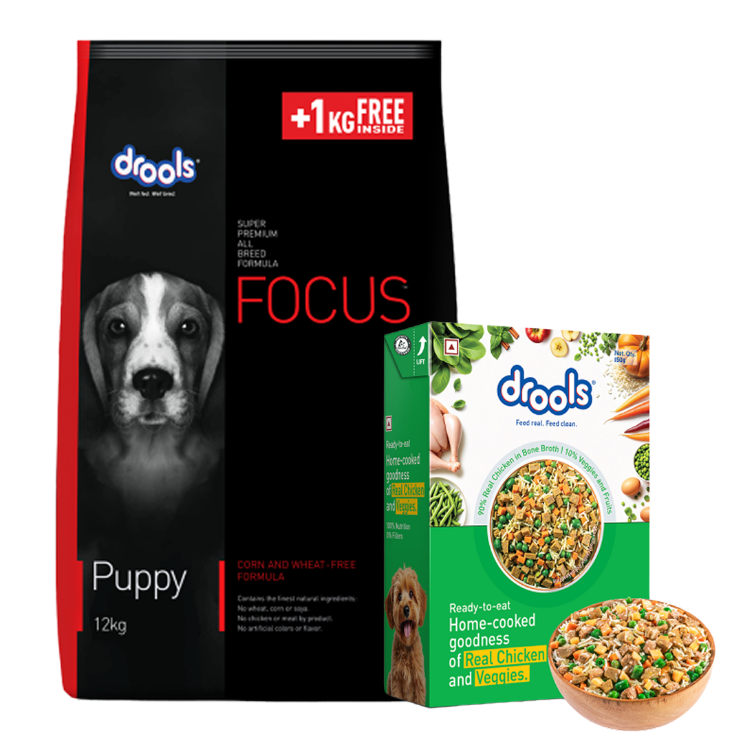 Drools Focus Super Premium Puppy Dog Dry Food | Corn & Wheat Free Formula