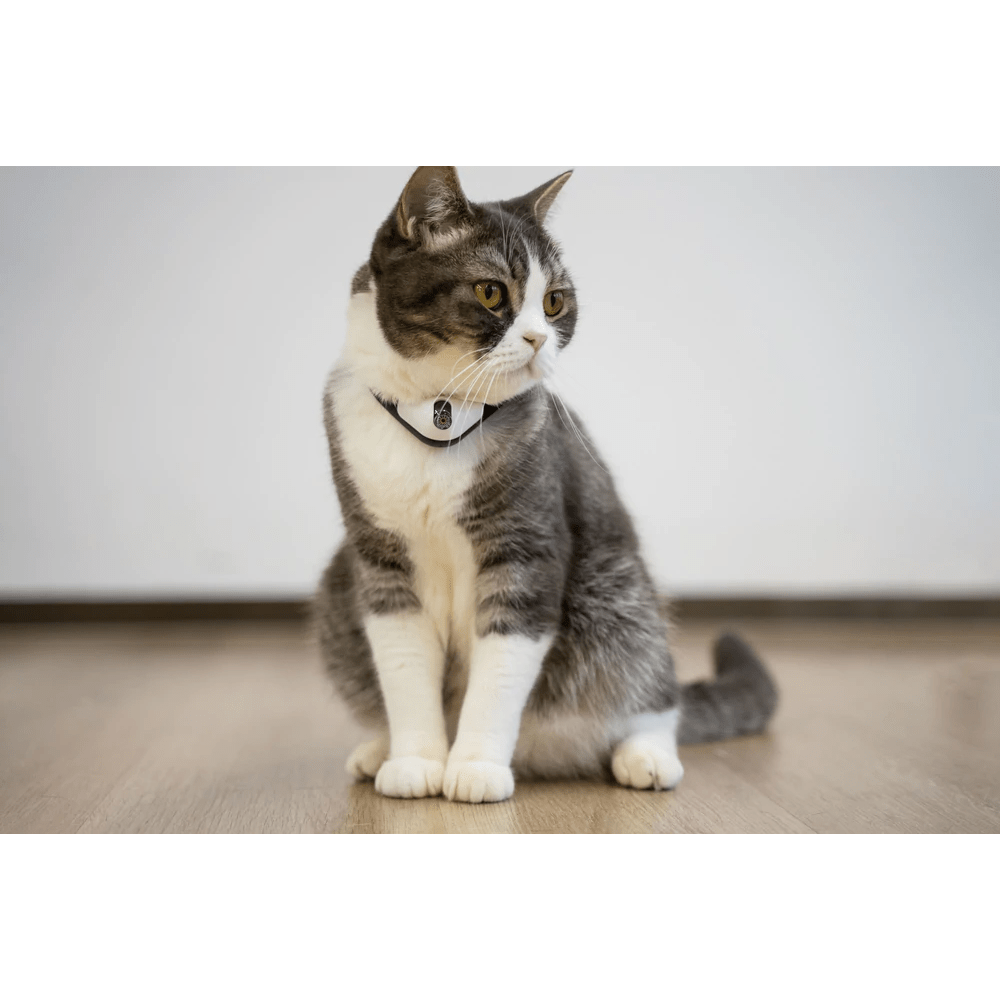 Cheerble Amusing Collar for Cats image 7