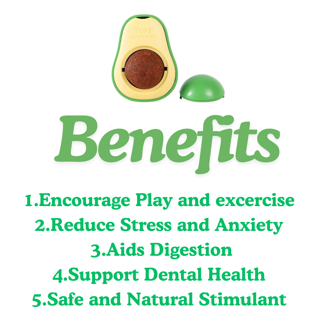 Healing Leaf Avacado Catnip Toys for Cats image 2